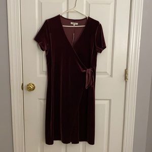 Madewell Velvet Midi Dress tags on
